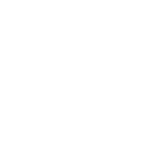 社會民主連線 League of Social Democrats